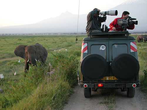 look-behind-photographers-safari