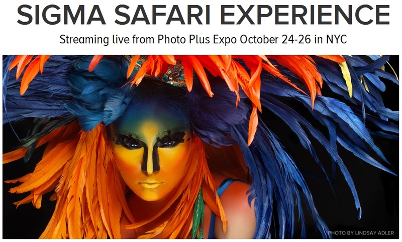Sigma Safari experience