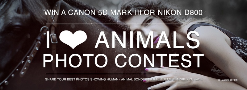 concurs foto cu poze cu animale