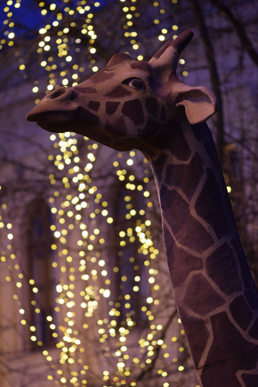 girafa muzeu antipa