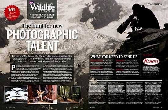 concurs de fotografie wildlife