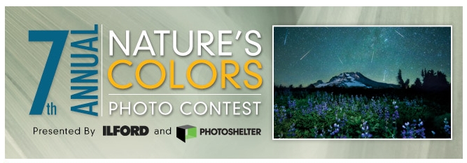 7th Annual Nature's Colors photo contest
