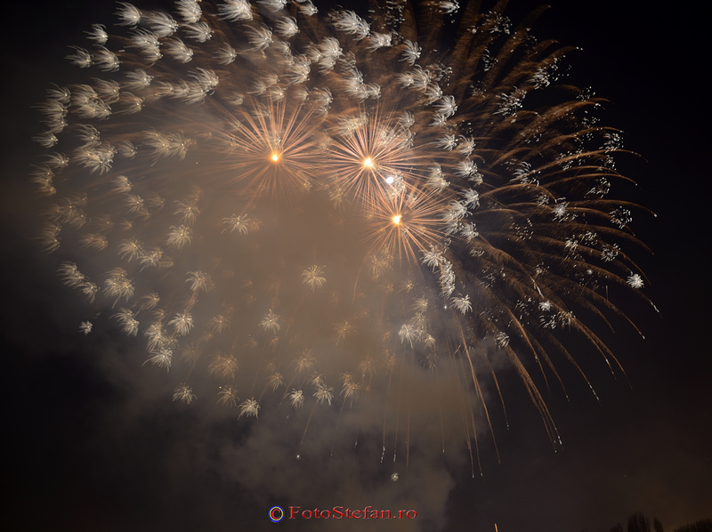 artificii revelion parc alexandru ioan cuza