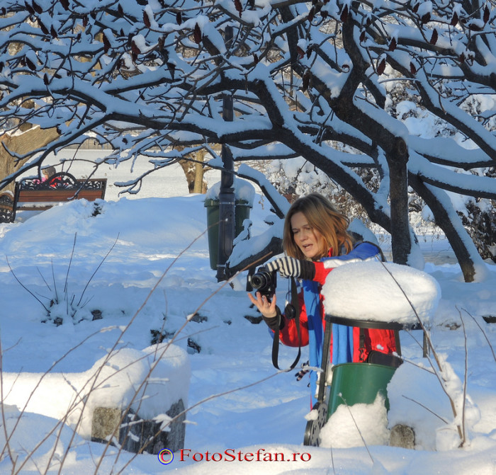 aparatul foto iarna fotografi poze parc herastrau bucuresti zapada iarna