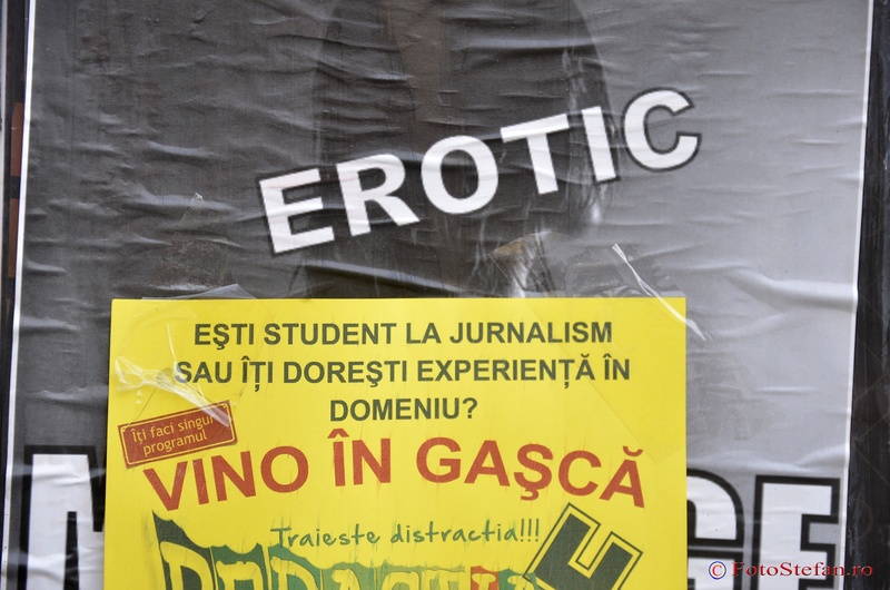 jurnalism erotic