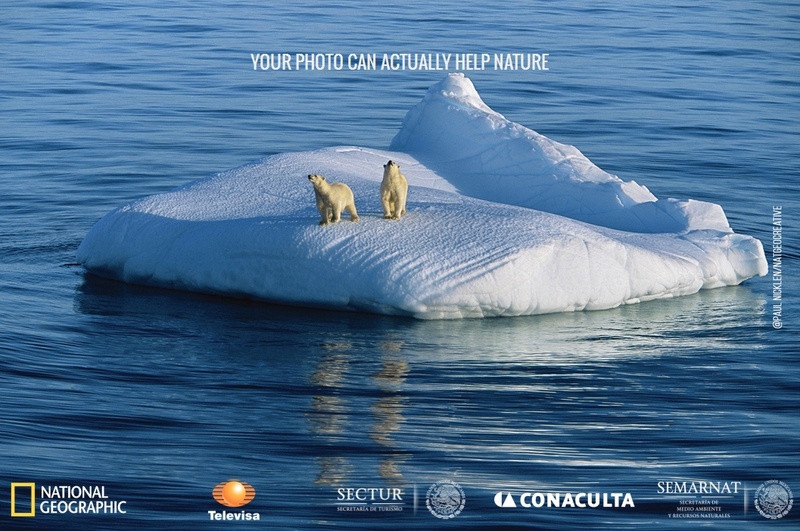 Por el Planeta International Conservation Photography Competition