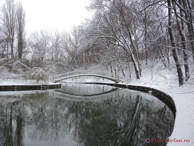 pod lac apa iarna parc national bucuresti