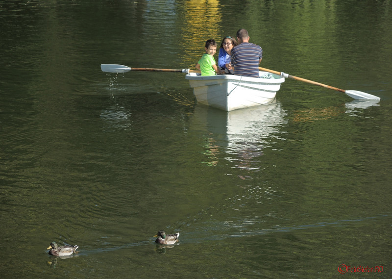 barca lac parcul carol bucuresti poze
