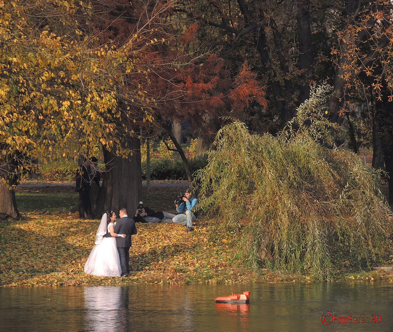poze de nunta parcul carol toamna bucuresti
