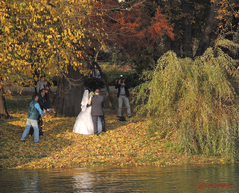 fotografie de nunta toamna parcul carol bucuresti 
