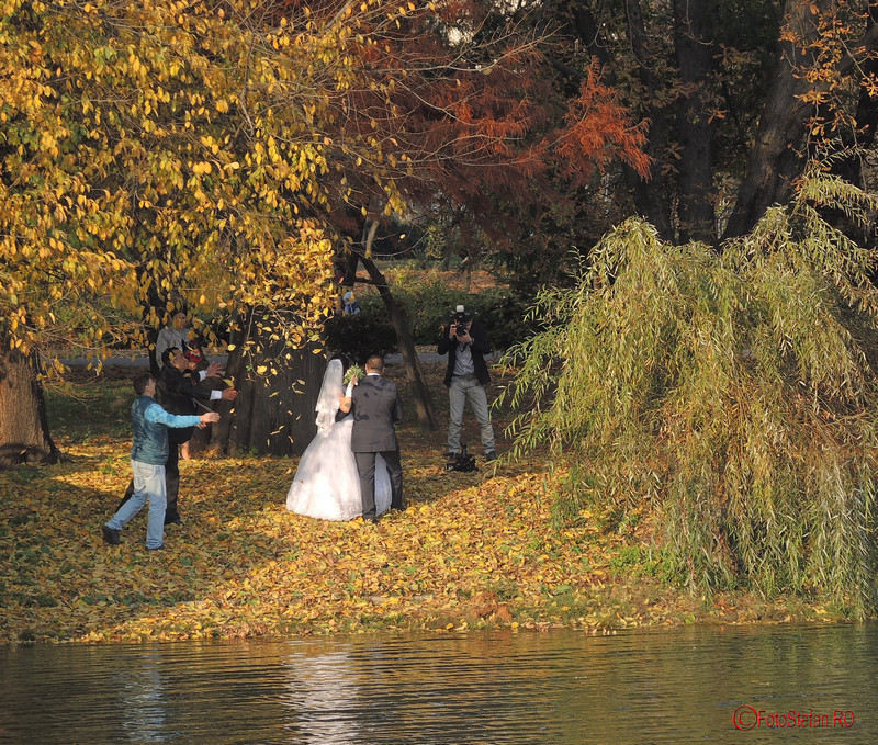 sedinta foto nunta toamna parcul carol bucuresti 
