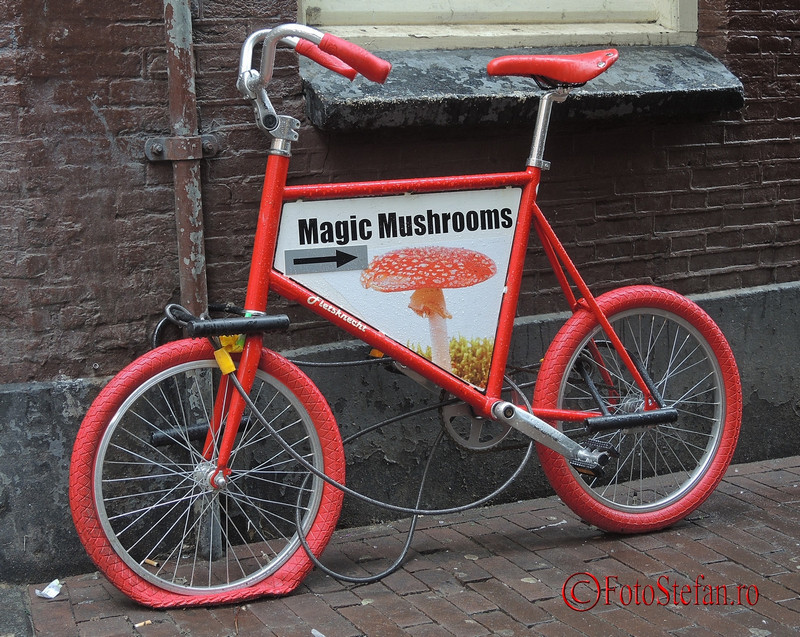 poza bicicleta reclama magazin ciuperci magice amsterdam