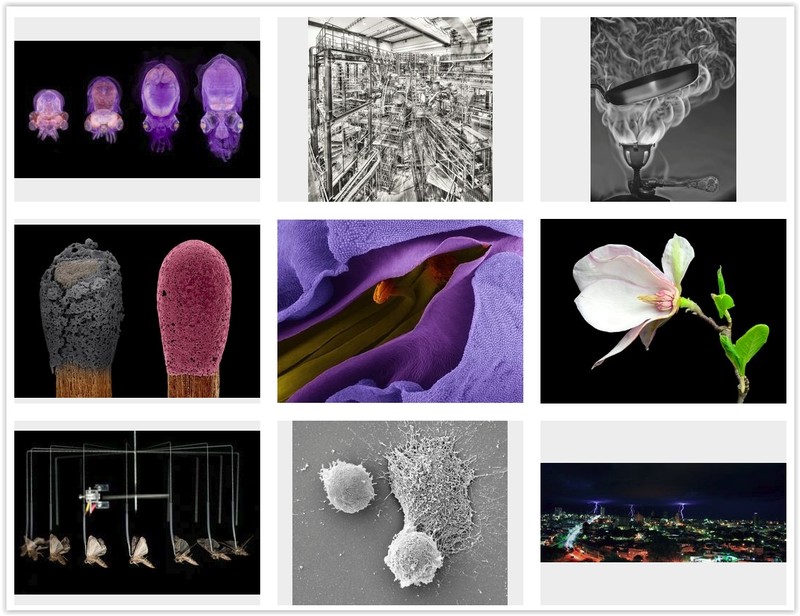 The Royal Photographic Society’s International Images for Science 2017 