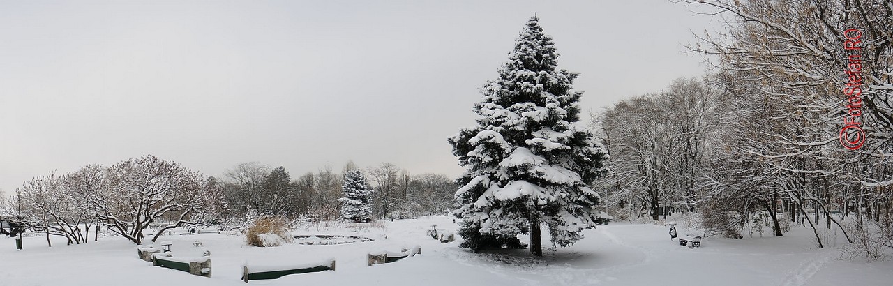 poza panoramica parcul herastrau iarna bucuresti