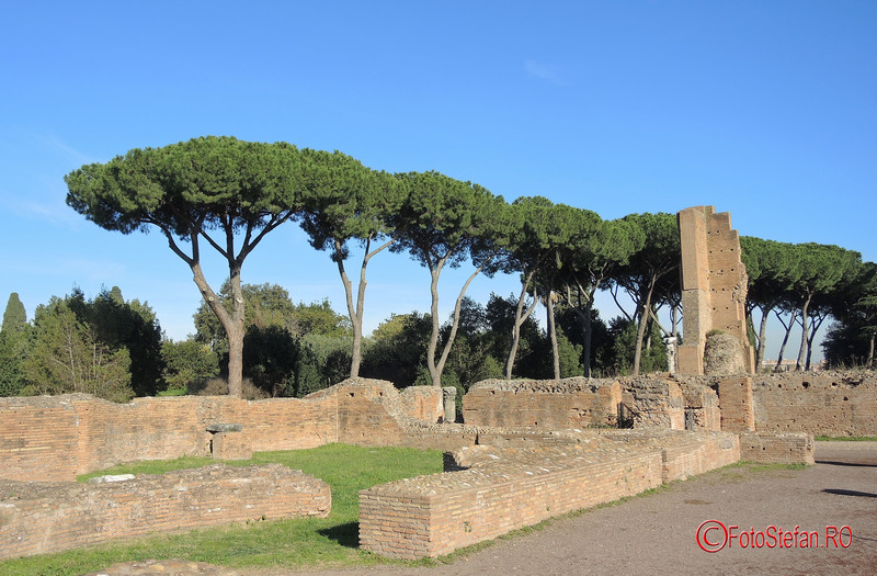 poza foto Stone Pines roma italia decembrie