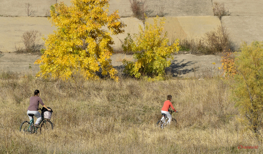 poze foto biciclisti Parcul Natural Vacaresti Delta din Bucuresti cicloturism
