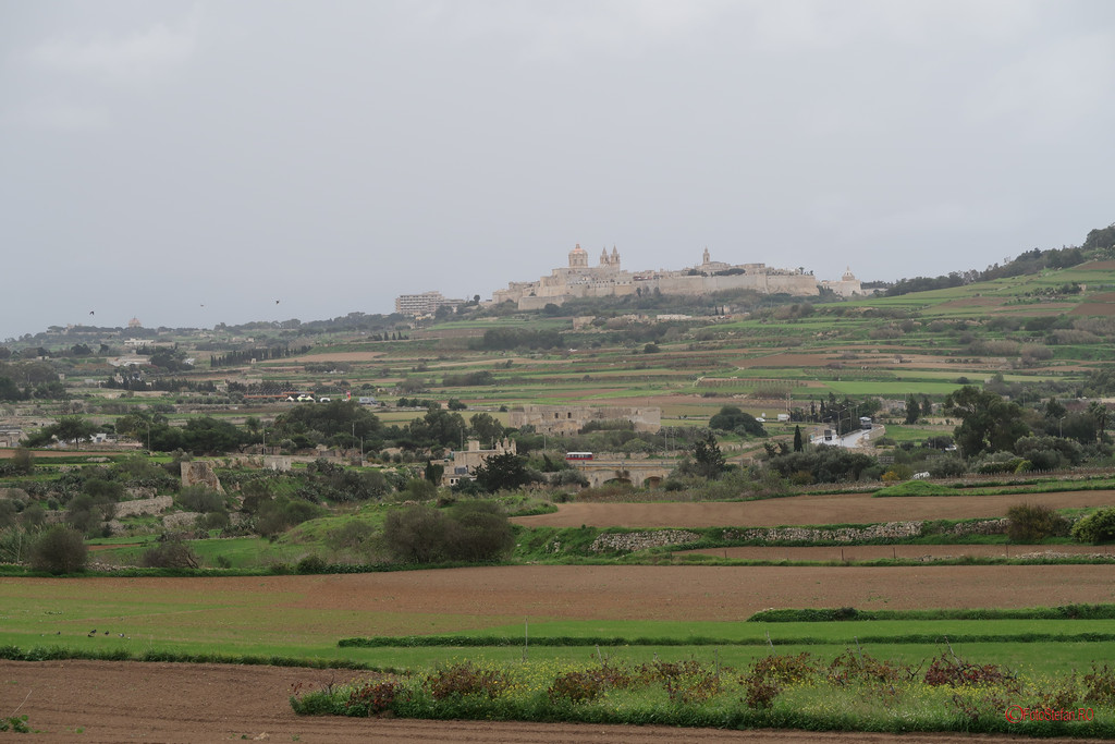 poza fotografii madina malta oras medieval