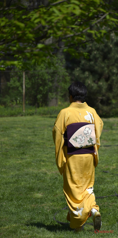 poza kimono galben rochie japoneza fata bucuresti