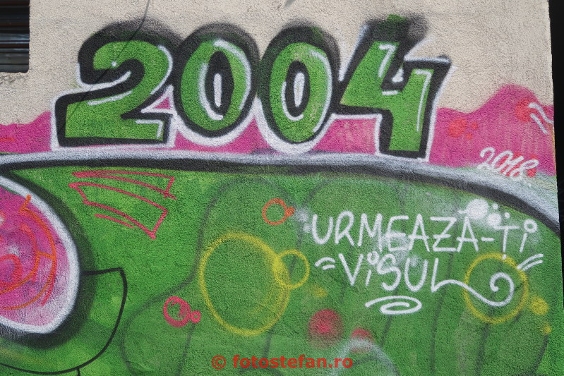poza graffiti verde traieste-ti visul 2004