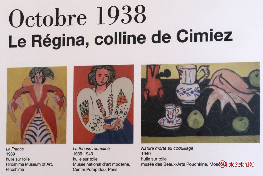 poza luza romaneasca Muzeul Matisse Nisa Franta