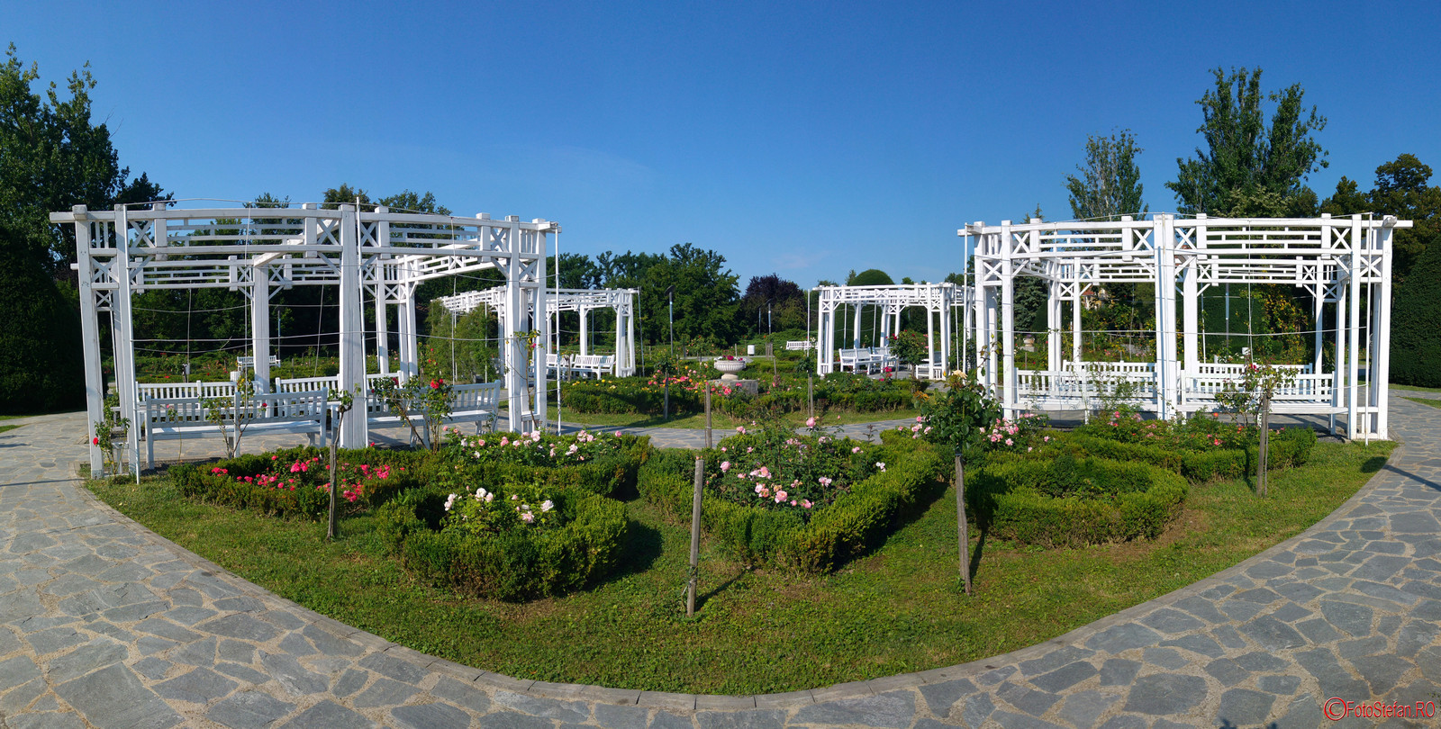 fotografie panoramica parcul rozelor trandafiri timisoara romania