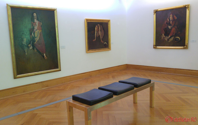 poze fotografii Muzeul de Arta Timisoara