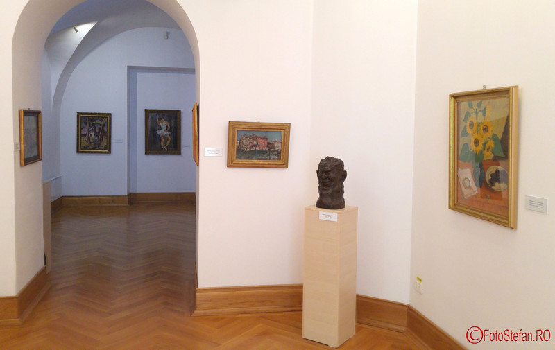 exponate Muzeul de Arta Timisoara poze fotografii