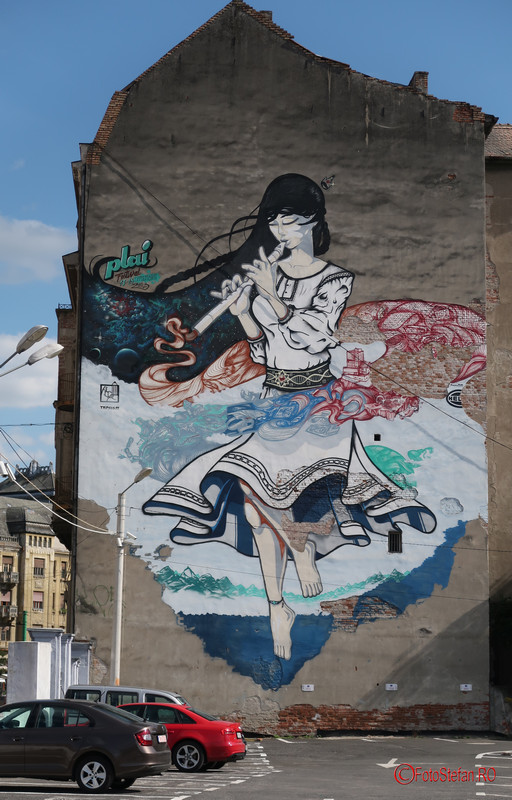 arta urbana Timisoara poze graffiti romania fotografii