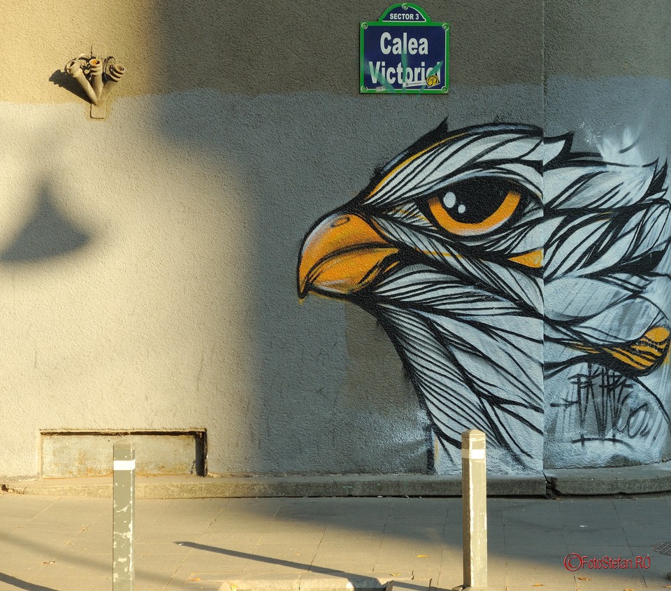 poze vultur harta graffiti bucuresti