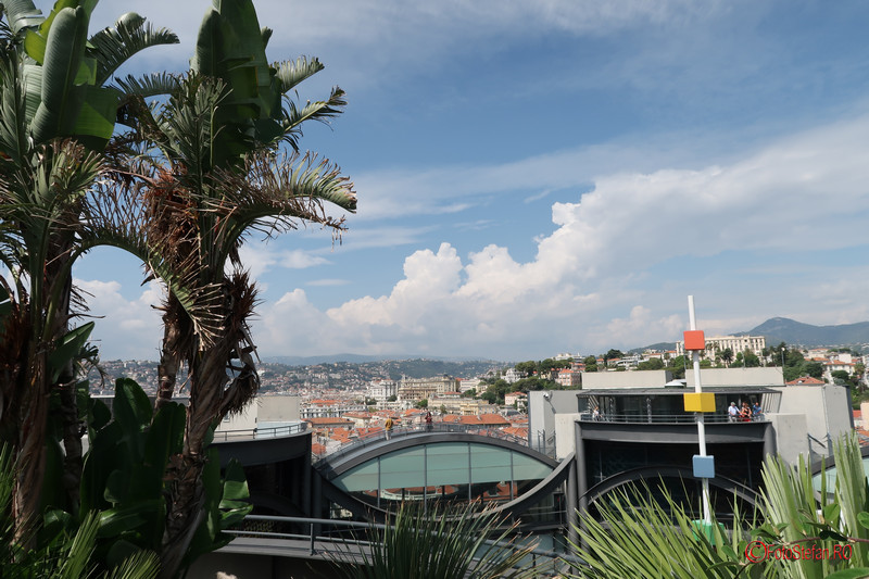 poze terasa palmieri Muzeul de arta contemporana si moderna din Nisa franta