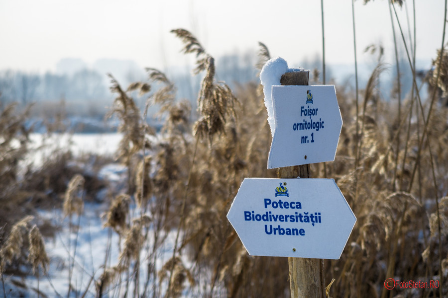 poza indicatoare parcul Vacaresti Bucuresti fotografii iarna zapada