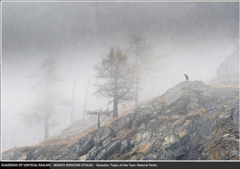 Marco Ronconi fotograf italian poza ceata munte capra salbatica