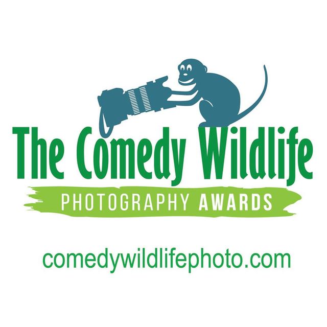 Comedy Wildlife Photography Awards 2019