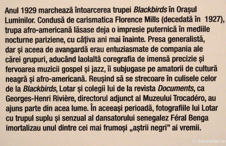 Blackbirds trupa teatru muzica 