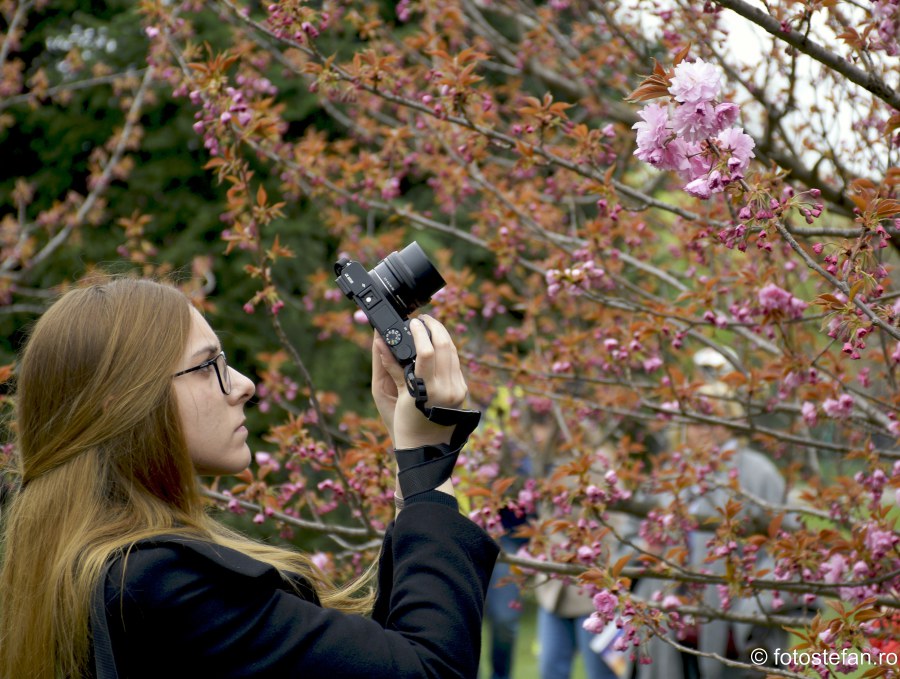 poza fata fotografa flori de cires sarbatoare japoneza