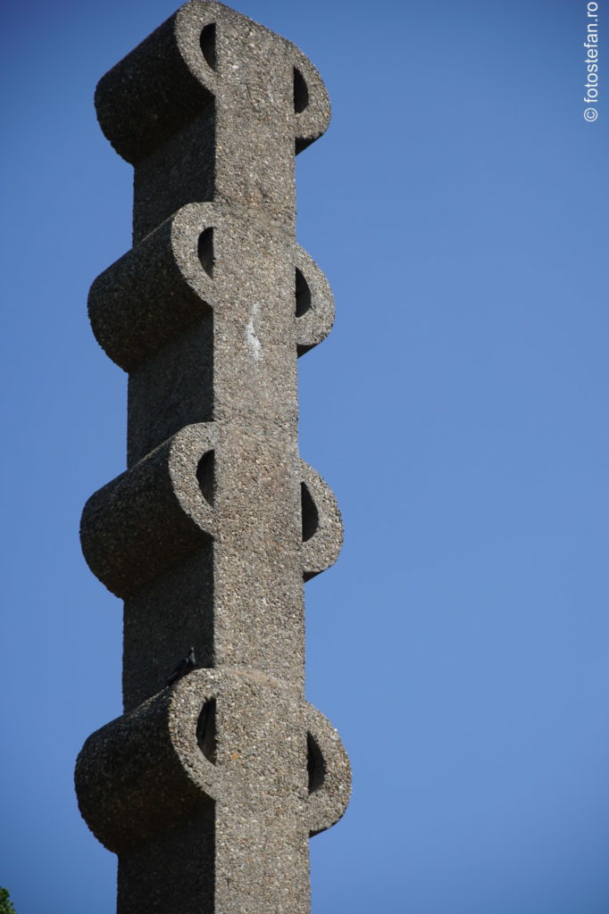 poza columna monument herastrau
