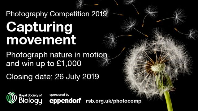 Capturing movement Royal Society of Biology photo contest