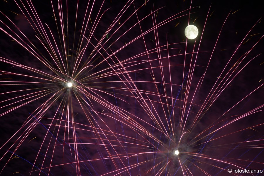 Ziua Frantei Bucuresti imagini poze artificii parcul Carol