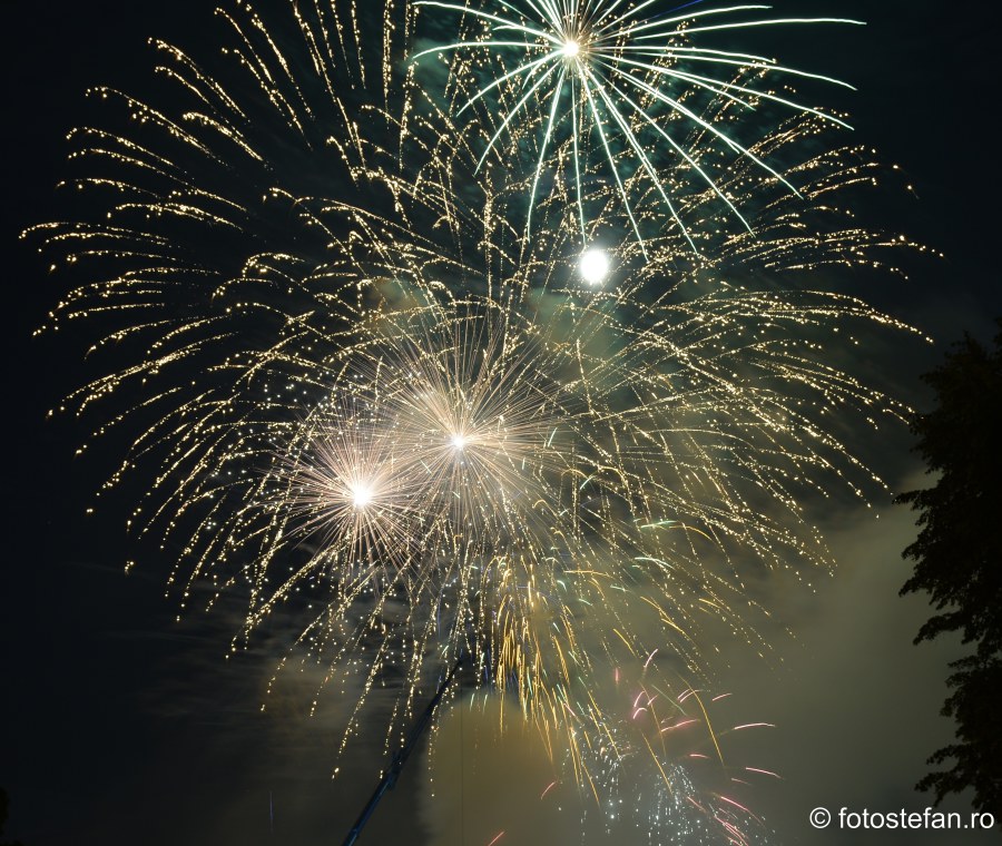 ziua frantei bucuresti imagini artificii parcul carol