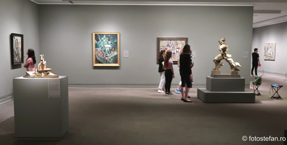 vizitatori obiectiv turistic muzeu de arta new york america
