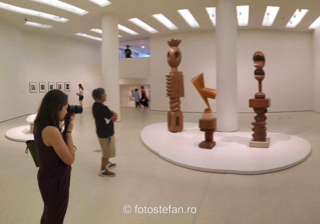 poza fotografa sculpturi constantin brancusi muzeul Solomon R. Guggenheim