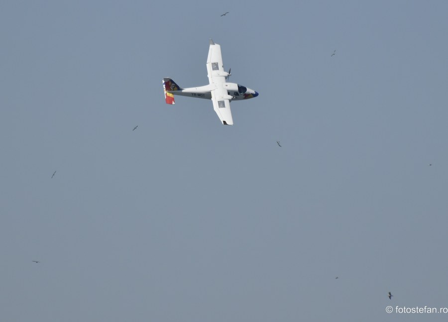 fotografii acrobatie aeriana Tecnam P2006T
