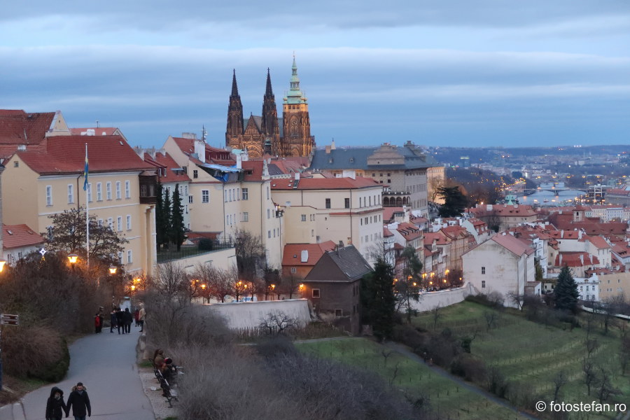 poze Praga vazuta de sus castel catedrala vitus