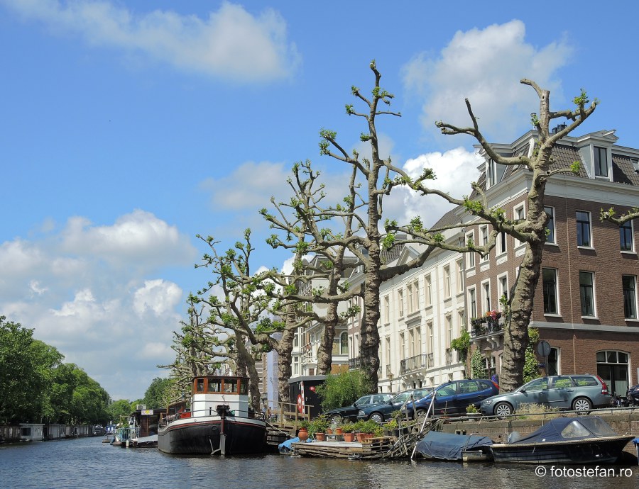 Locuri de vizitat in Amsterdam plimbare barca canal
