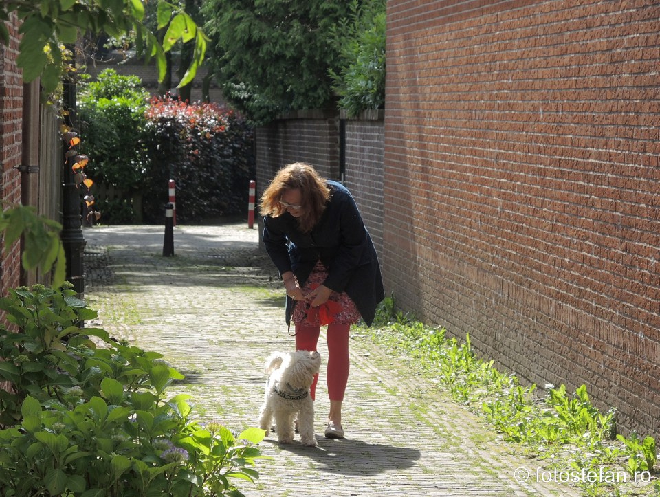 poza fata olandeza plimba catel oras locuri de vizitat langa Amsterdam