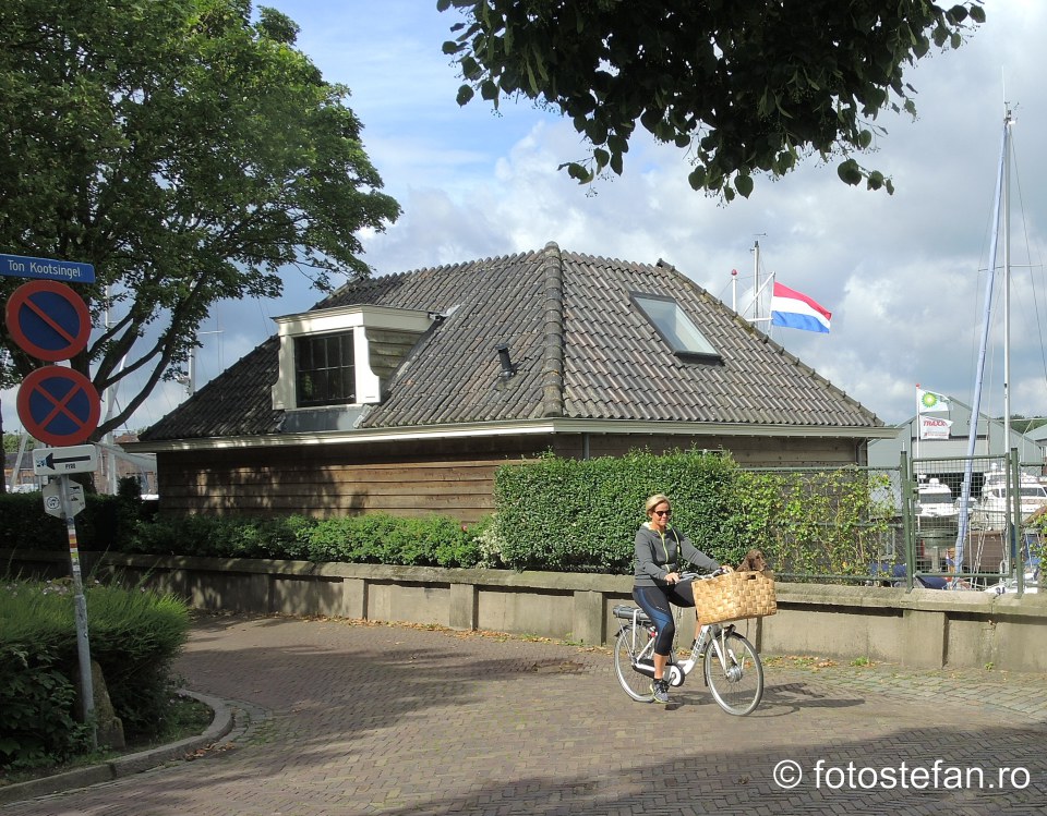 plimbara catel bicicleta olanda fotografie turistica