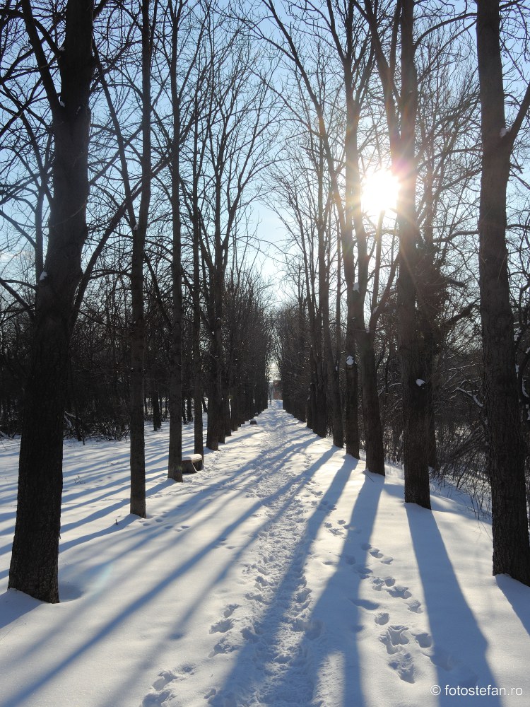 zapada iarna alee parcul Giuseppe Verdi bucuresti