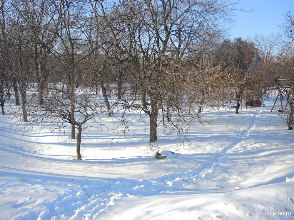 poze iarna parc bucuresti cartier floreasca