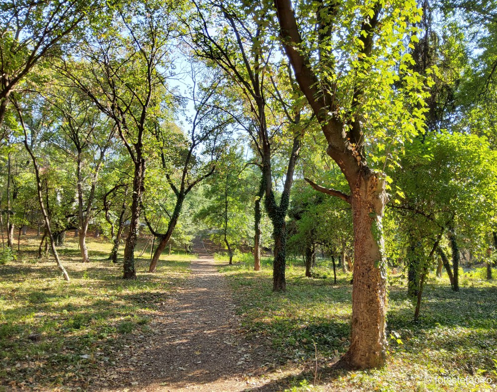 fotografii parcul verdi bucuresti sector 2