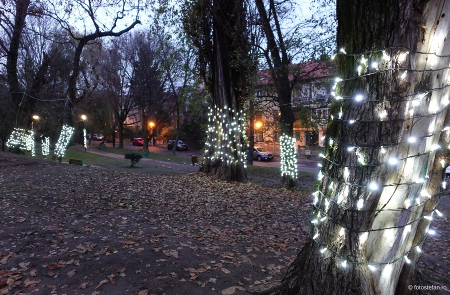 fotografii beculete sarbatori iarna parc romniceanu bucuresti poze